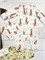 Набор одежды (р.56) 56-12
